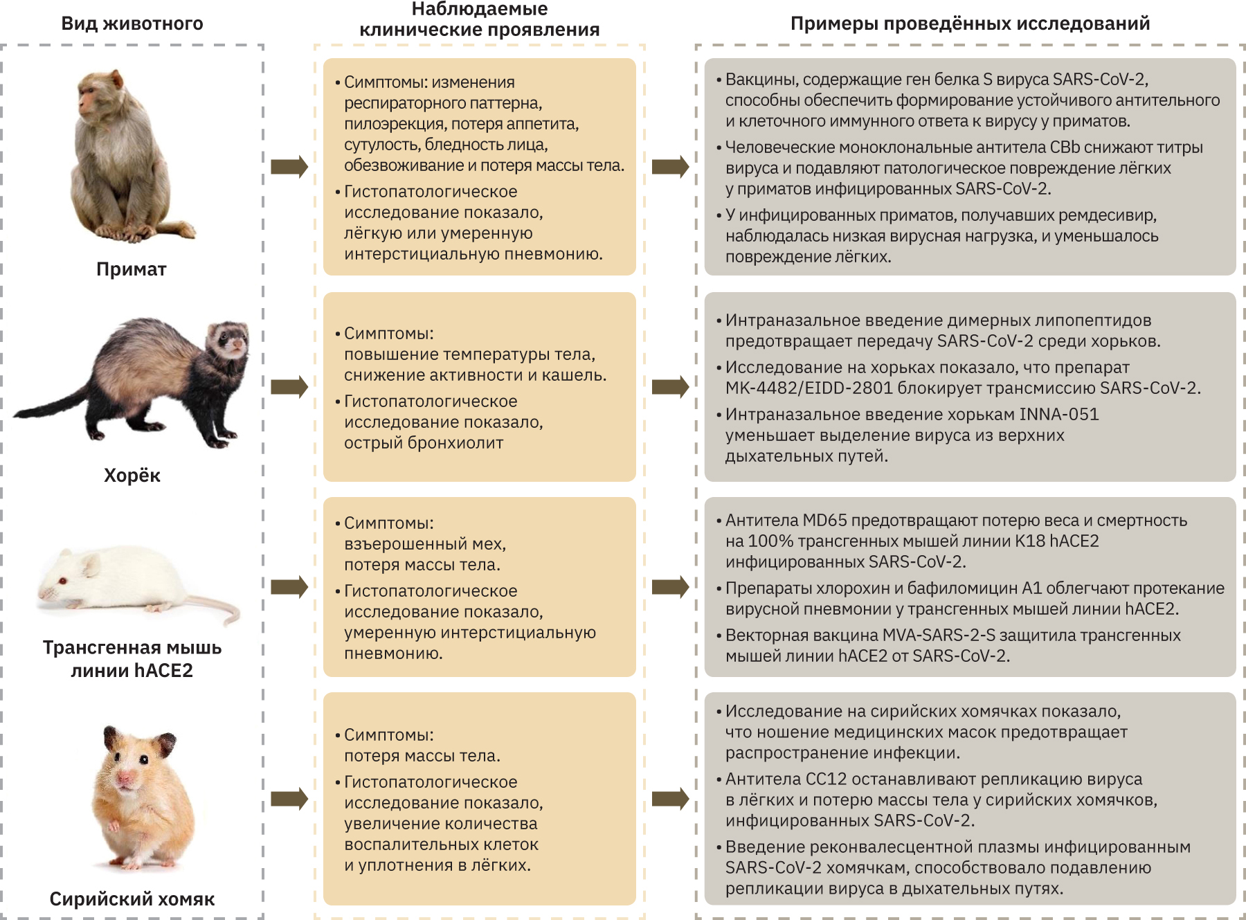  <b> </b>Характеристики и область применения моделей COVID-19 на животных (мод. по J. Wenrui и соавт., 2021 |30|) 